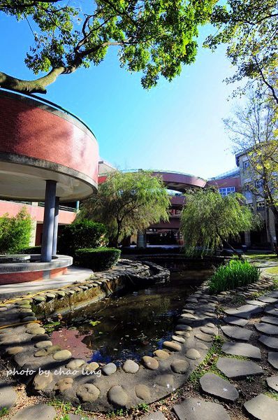 崇林國中-25 崇林國中-25