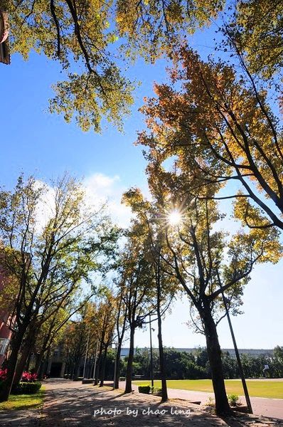 崇林國中-13.JPG 崇林國中-13.JPG