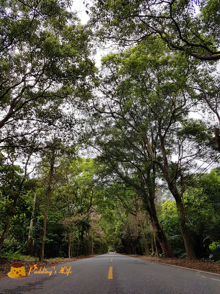 nEO_IMG_20160625_135341