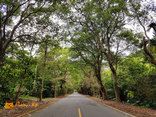 nEO_IMG_20160625_135447