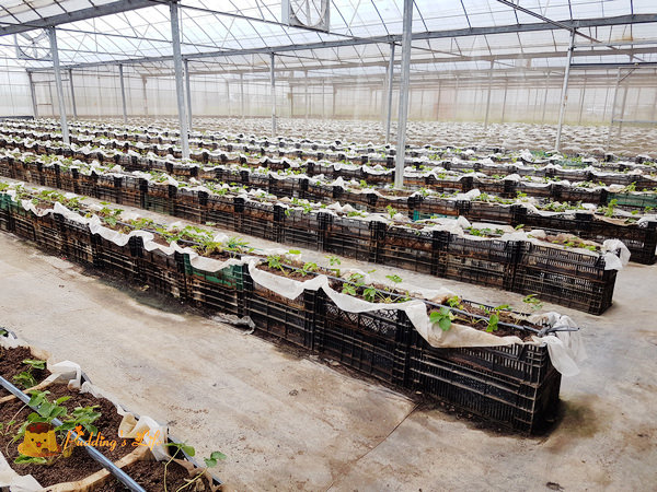 nEO_IMG_20161008_120515