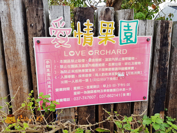 nEO_IMG_20161008_115705