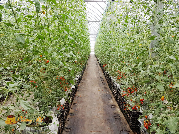 nEO_IMG_20161008_120830