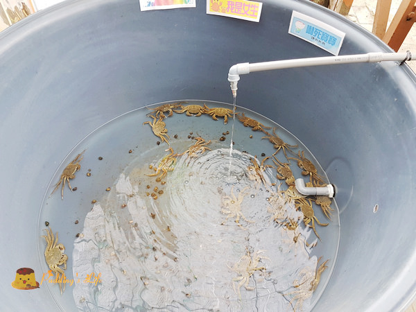 nEO_IMG_20161008_120455