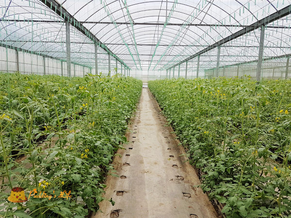 nEO_IMG_20161008_120623