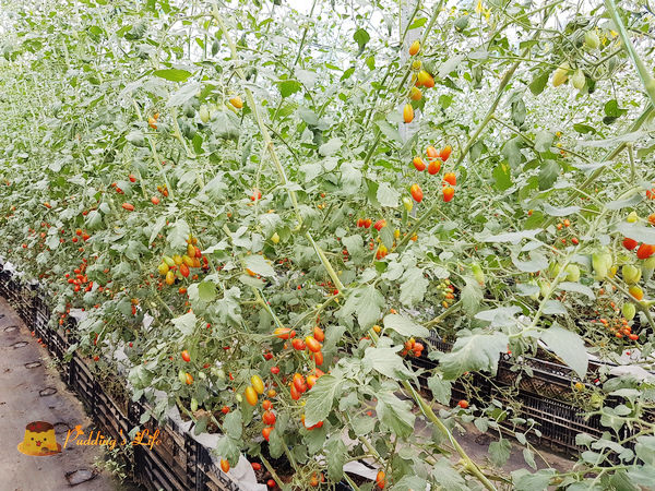 nEO_IMG_20161008_120802