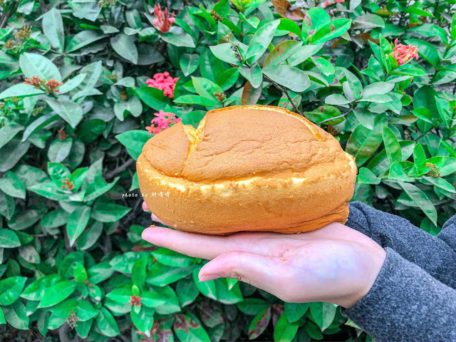 【彰化 秀水】小美布丁蛋糕專賣店🍰熱門團購美食,簡單的古早味蛋糕,卻一點也不簡單,口感綿密濕潤,冰過更好吃,大人小孩都愛不釋口😋