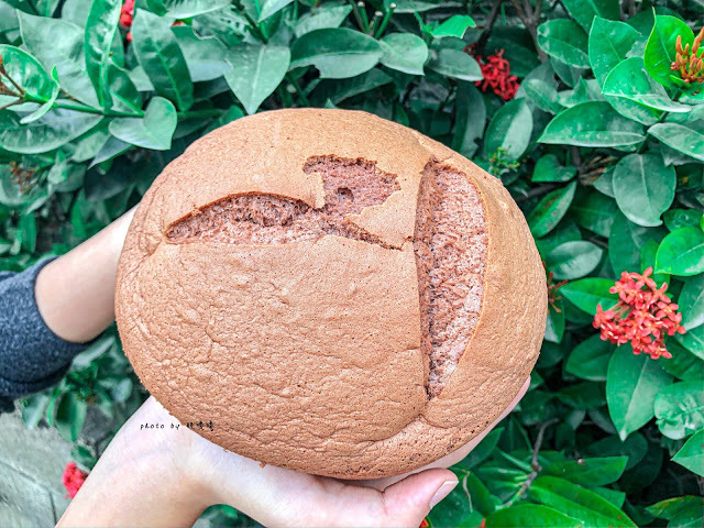 【彰化 秀水】小美布丁蛋糕專賣店🍰熱門團購美食,簡單的古早味蛋糕,卻一點也不簡單,口感綿密濕潤,冰過更好吃,大人小孩都愛不釋口😋