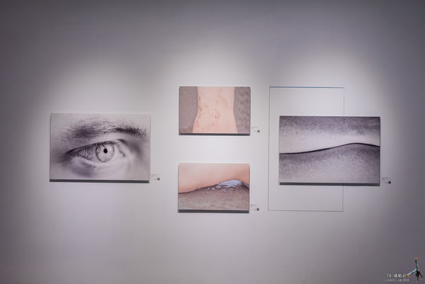 草間彌生又來了？來台中大里Dali Art 藝術廣場-TOKYO ILLUSION 東京幻境日本當代藝術展，就能飽覽日本新銳藝術家新潮創作及大師級草間彌生藝術創作。