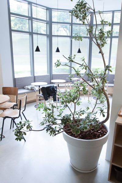 Fika Fika Cafe 內湖 - 13