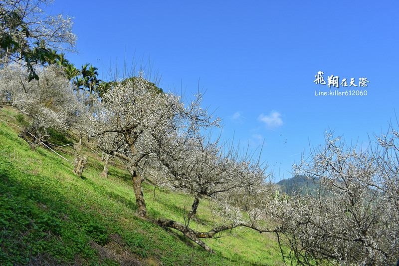 PhotoGrid_1483862408745