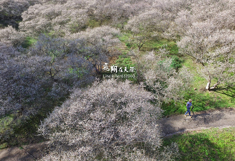 PhotoGrid_1483858629803