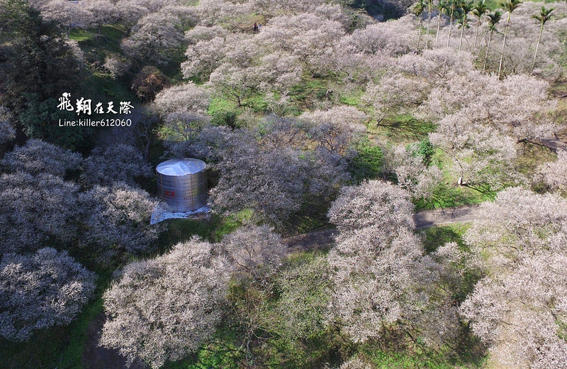 PhotoGrid_1483858477670