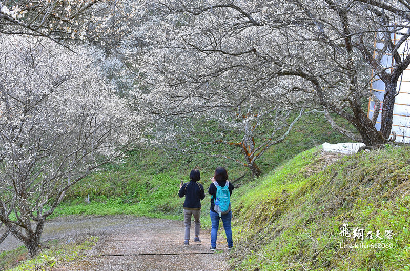 PhotoGrid_1483862081740