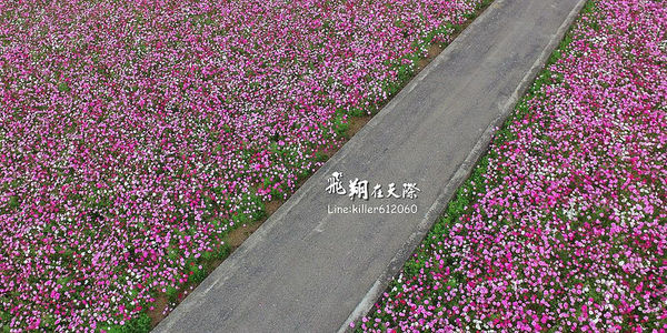 31915584192_ff591e9f9c_c