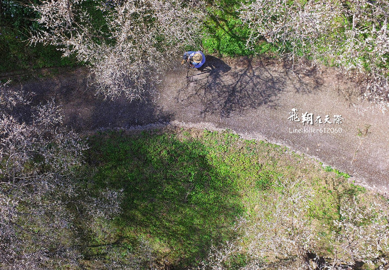 PhotoGrid_1483860009738