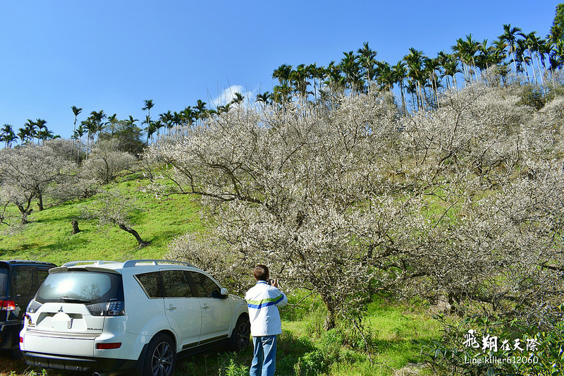 PhotoGrid_1483862167921