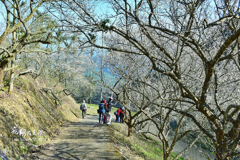 PhotoGrid_1483862110560