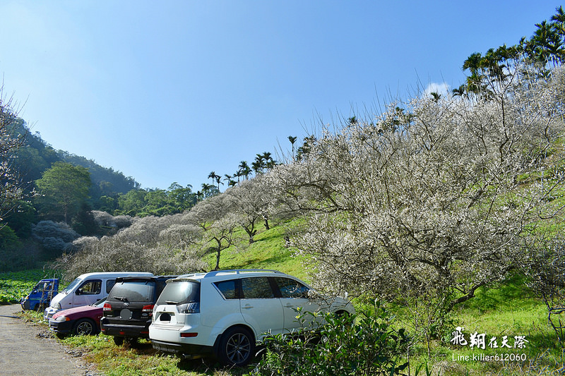 PhotoGrid_1483862141317