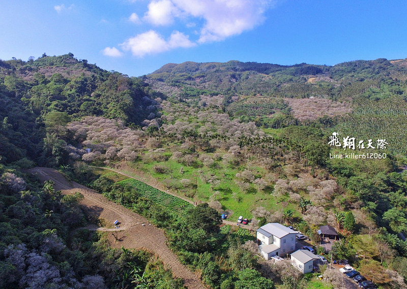 PhotoGrid_1483859942670