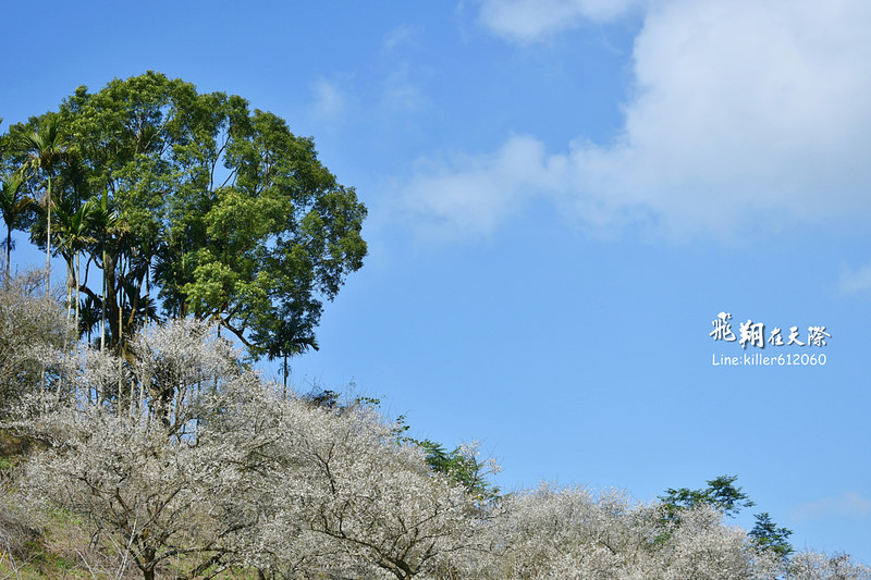 PhotoGrid_1483862235987