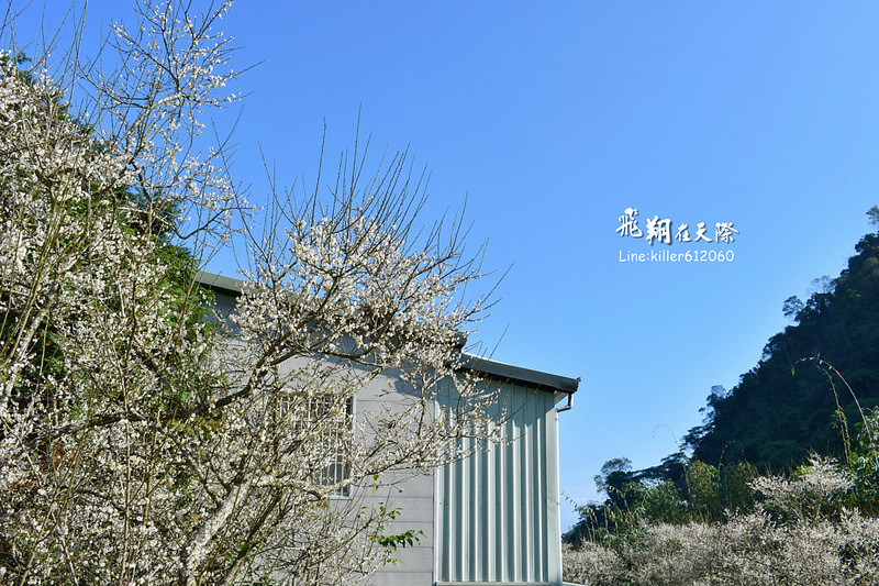 PhotoGrid_1483862270657