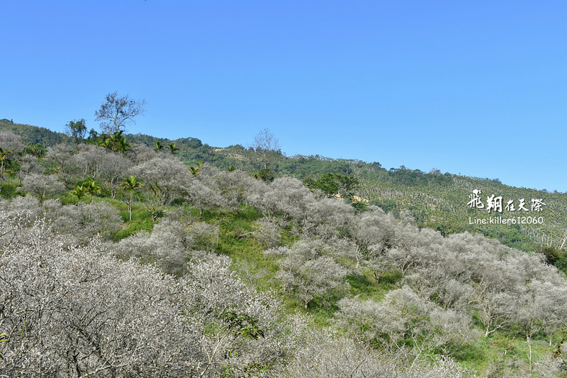 PhotoGrid_1483862193524