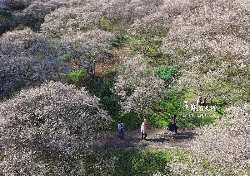 PhotoGrid_1483859989871