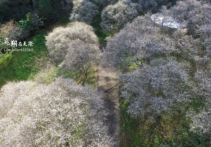 PhotoGrid_1483860067461