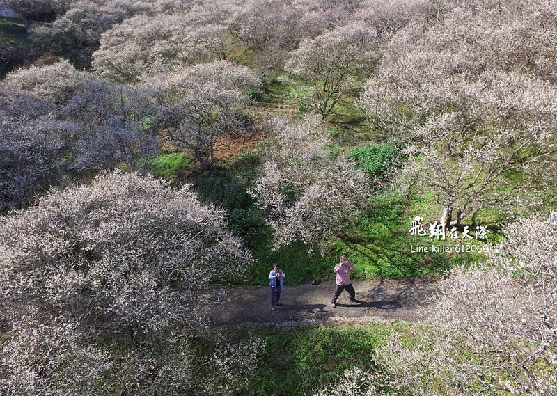 PhotoGrid_1483860162752