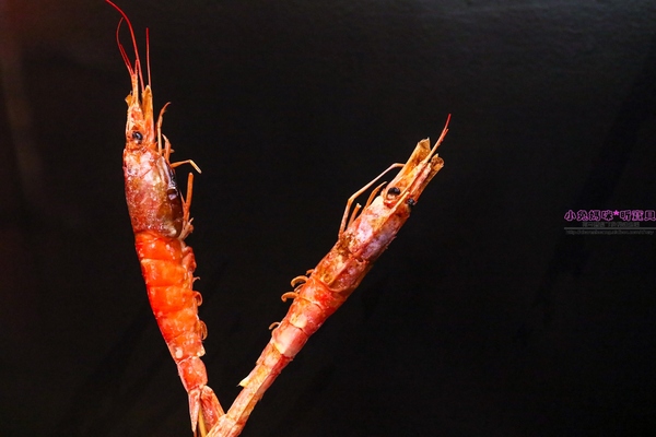 漁川火烤海鮮：【土城熱炒】☼漁川火烤海鮮☼用料豐富的昆布海鮮鍋、活跳跳的波士頓龍蝦各式料理，尚青的海鮮等你來品嚐～♥♥