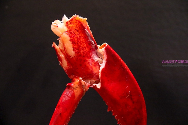 漁川火烤海鮮：【土城熱炒】☼漁川火烤海鮮☼用料豐富的昆布海鮮鍋、活跳跳的波士頓龍蝦各式料理，尚青的海鮮等你來品嚐～♥♥