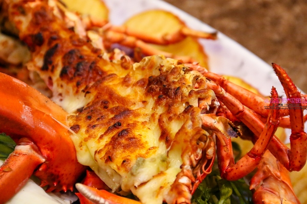 漁川火烤海鮮：【土城熱炒】☼漁川火烤海鮮☼用料豐富的昆布海鮮鍋、活跳跳的波士頓龍蝦各式料理，尚青的海鮮等你來品嚐～♥♥