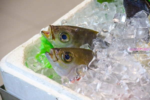 漁川火烤海鮮：【土城熱炒】☼漁川火烤海鮮☼用料豐富的昆布海鮮鍋、活跳跳的波士頓龍蝦各式料理，尚青的海鮮等你來品嚐～♥♥