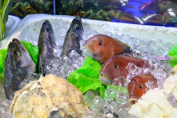 漁川火烤海鮮：【土城熱炒】☼漁川火烤海鮮☼用料豐富的昆布海鮮鍋、活跳跳的波士頓龍蝦各式料理，尚青的海鮮等你來品嚐～♥♥