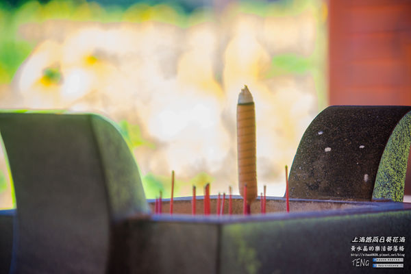 龍福宮佔地百頃向日葵花海|桃園市桃園區熱門打卡必遊景點；被向日葵花海包圍的田中幸福土地公廟(攝影賞析)。
