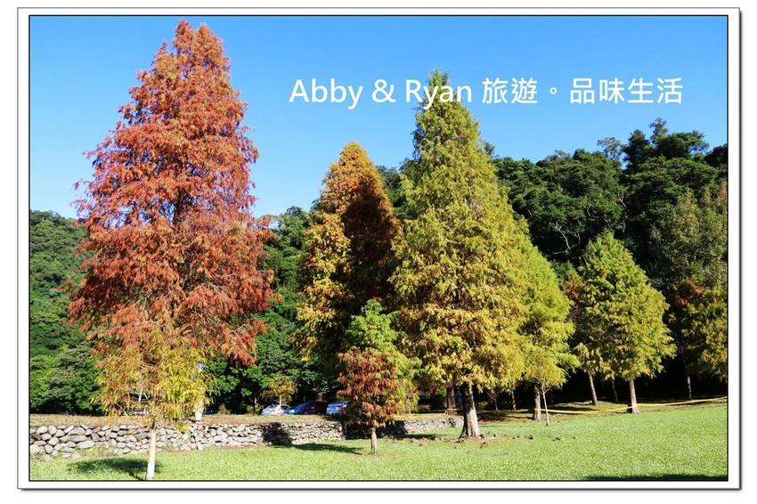 newIMG_0067.jpg newIMG_0067.jpg