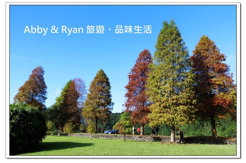 newIMG_0042.jpg newIMG_0042.jpg