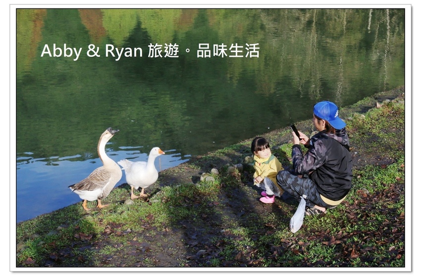 newIMG_0018.jpg newIMG_0018.jpg