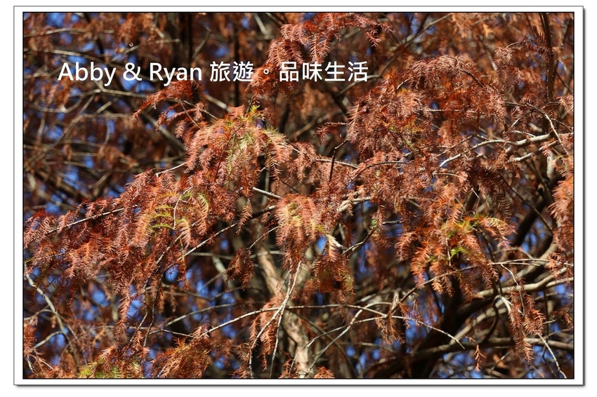 newIMG_0051.jpg newIMG_0051.jpg