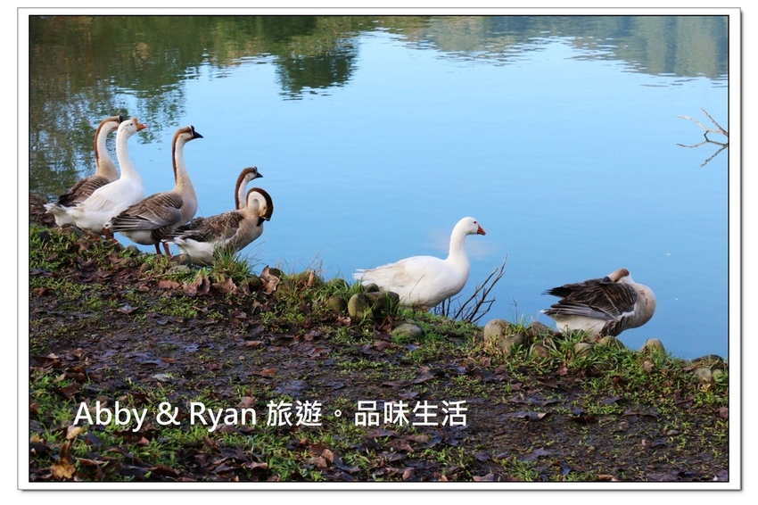 newIMG_0016.jpg newIMG_0016.jpg