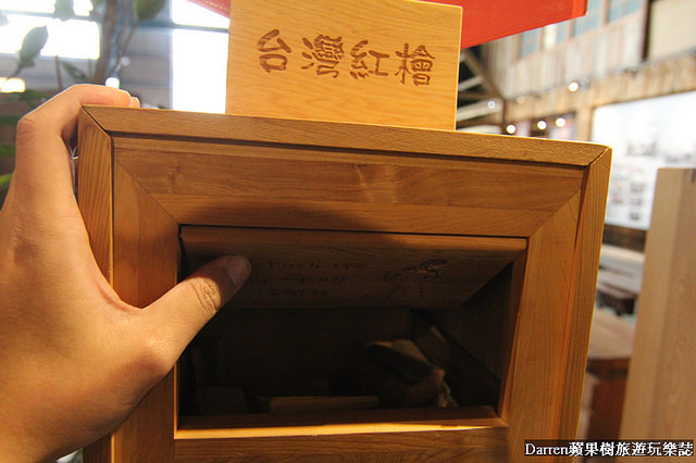 『嘉義景點』愛木村休閒觀光工廠★木頭主題遊戲區木工親子DIY體驗/阿里山千歲檜木爺祈願金促咪