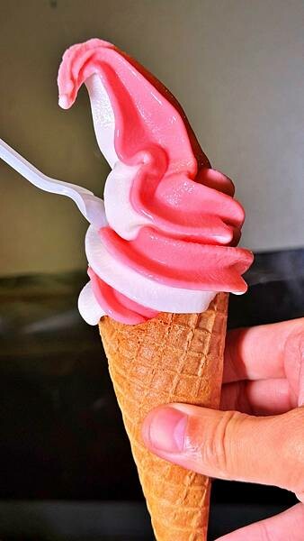 LINE_ALBUM_肉多多_230712_8