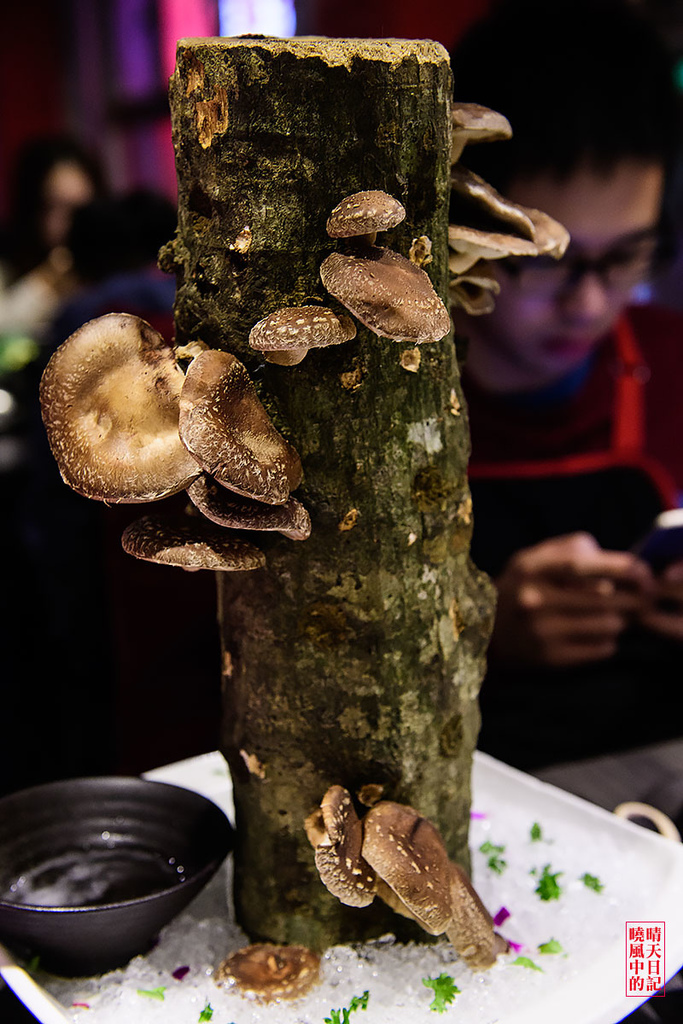 鼎太極麻辣火鍋(原逗鼎頂級麻辣火鍋)：【台北公館|鼎太極麻辣火鍋】就是要浮誇!!!每一道菜都讓人驚嘆 打卡最吸仇恨值的戲劇級鍋物 (愛評體驗團)
