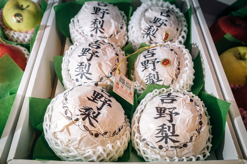 20191026-958A7704 20191026-958A7704