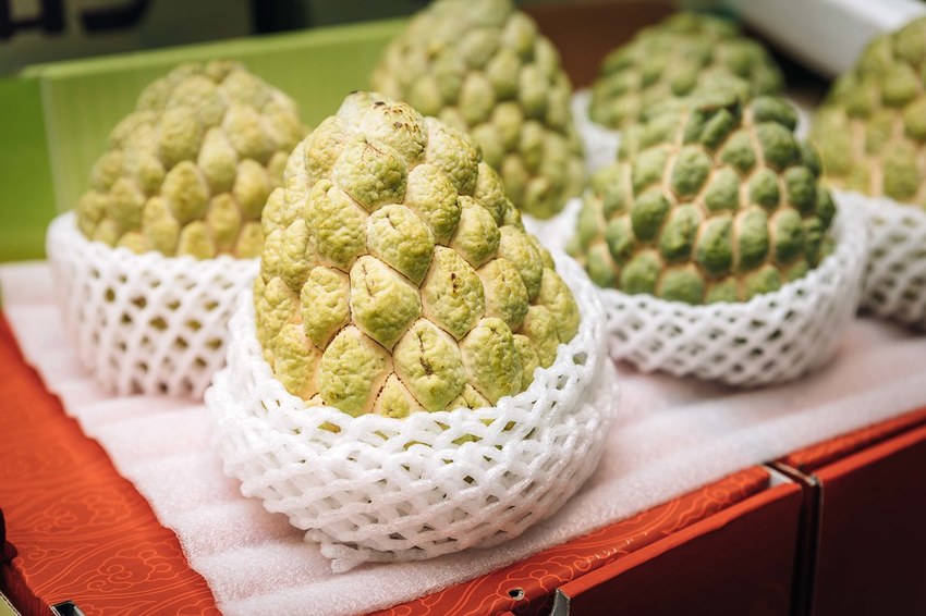 20191026-958A7684 20191026-958A7684