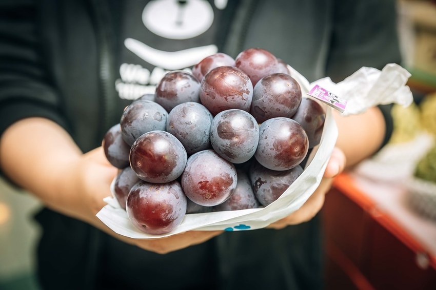 20191026-958A7673 20191026-958A7673