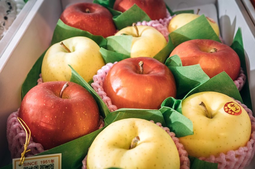 20191026-958A7705 20191026-958A7705