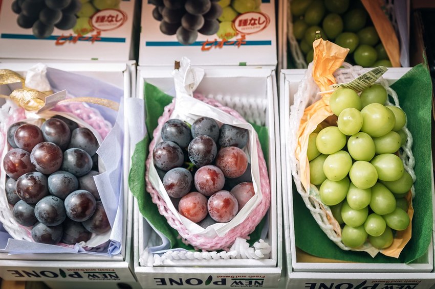 20191026-958A7671 20191026-958A7671