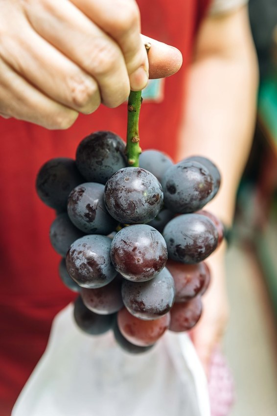 20191026-958A7675 20191026-958A7675